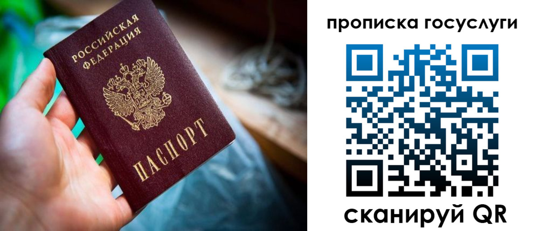 временная регистрация в квартире в Калининграде
